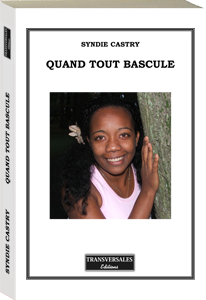 Couverture d’ouvrage : Quand tout bascule